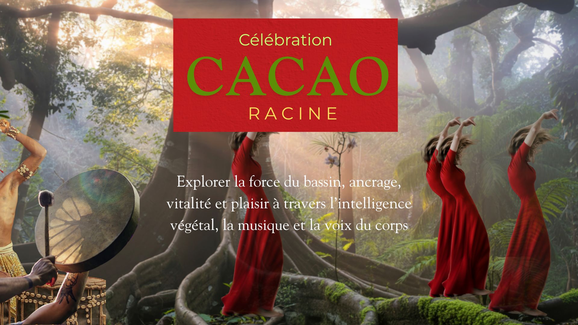 Cacao Racine - Conexion Bassin